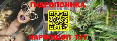 крисы Славянск-на-Кубани