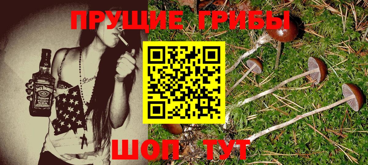 Галлюциногенные грибы Psilocybine cubensis  Вход с VPN  Галлюциногенные грибы Psilocybe  Орск 